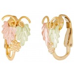 Clip-on Earrings - by Landstrom's